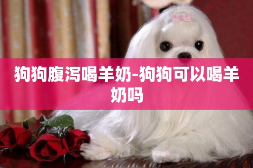 狗狗腹瀉喝羊奶-狗狗可以喝羊奶嗎