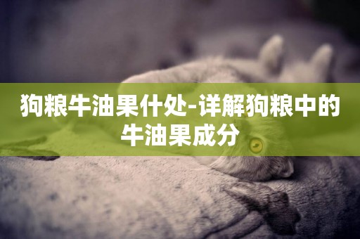 狗糧牛油果什處-詳解狗糧中的牛油果成分