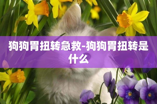狗狗胃扭轉急救-狗狗胃扭轉是什么