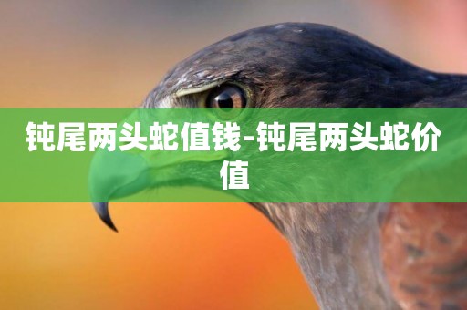 鈍尾兩頭蛇值錢-鈍尾兩頭蛇價值