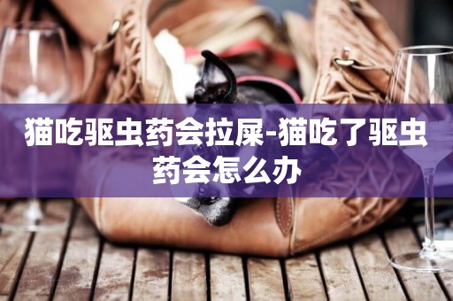 貓吃驅蟲藥會拉屎-貓吃了驅蟲藥會怎么辦