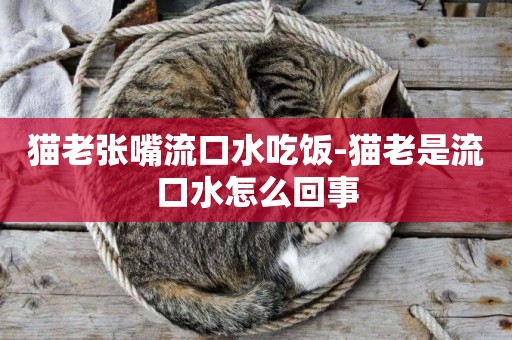 貓老張嘴流口水吃飯-貓老是流口水怎么回事