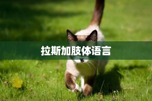 拉斯加肢體語言