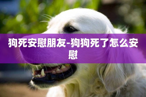 狗死安慰朋友-狗狗死了怎么安慰