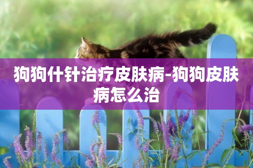狗狗什針治療皮膚病-狗狗皮膚病怎么治