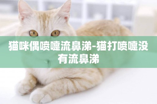 貓咪偶噴嚏流鼻涕-貓打噴嚏沒有流鼻涕