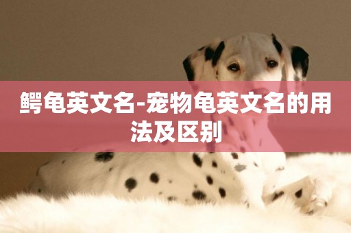 鱷龜英文名-寵物龜英文名的用法及區別