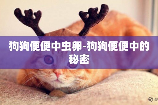 狗狗便便中蟲卵-狗狗便便中的秘密