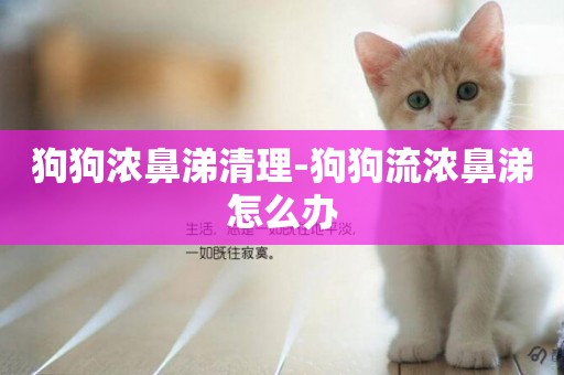 狗狗濃鼻涕清理-狗狗流濃鼻涕怎么辦