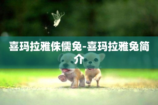 喜瑪拉雅侏儒兔-喜瑪拉雅兔簡介