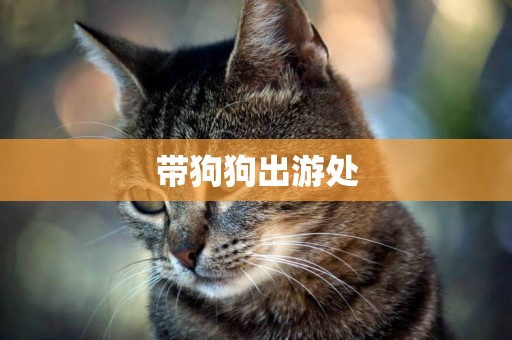 帶狗狗出游處