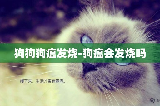 狗狗狗瘟發燒-狗瘟會發燒嗎
