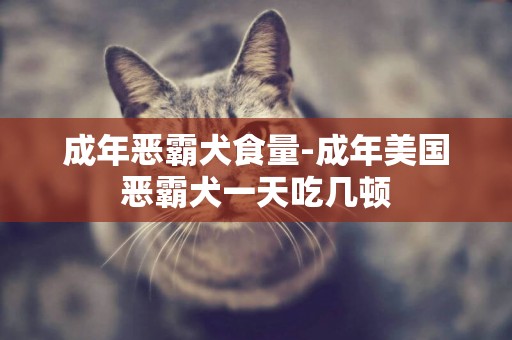 成年惡霸犬食量-成年美國惡霸犬一天吃幾頓