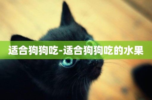 適合狗狗吃-適合狗狗吃的水果