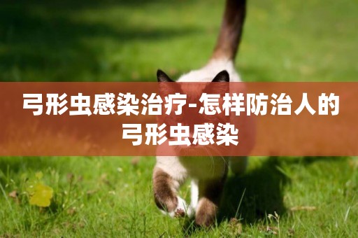 弓形蟲感染治療-怎樣防治人的弓形蟲感染