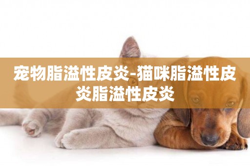 寵物脂溢性皮炎-貓咪脂溢性皮炎脂溢性皮炎