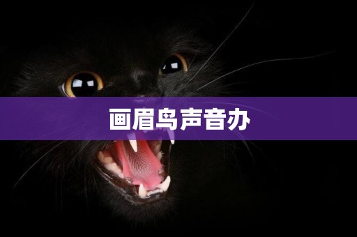 畫眉鳥聲音辦