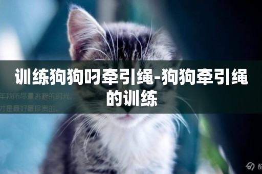 訓練狗狗叼牽引繩-狗狗牽引繩的訓練
