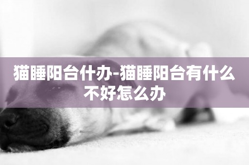 貓睡陽臺什辦-貓睡陽臺有什么不好怎么辦