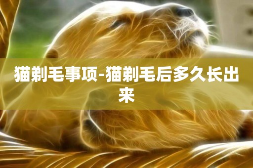 貓剃毛事項-貓剃毛后多久長出來