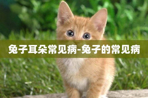 兔子耳朵常見病-兔子的常見病