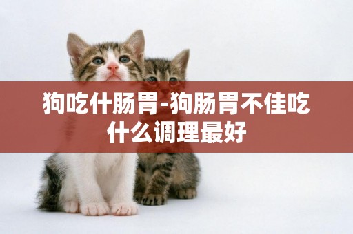 狗吃什腸胃-狗腸胃不佳吃什么調理最好