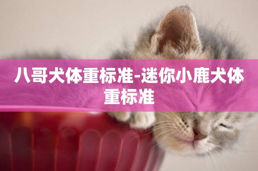 八哥犬體重標準-迷你小鹿犬體重標準