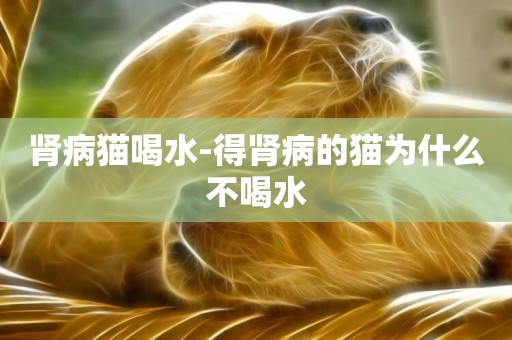 腎病貓喝水-得腎病的貓為什么不喝水