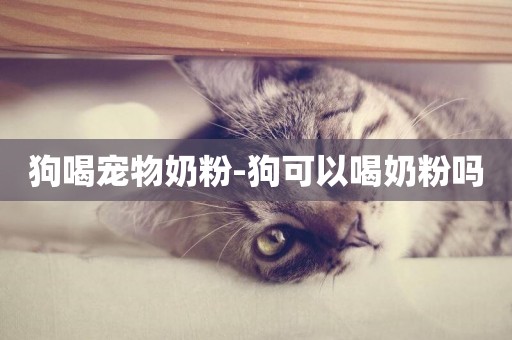狗喝寵物奶粉-狗可以喝奶粉嗎