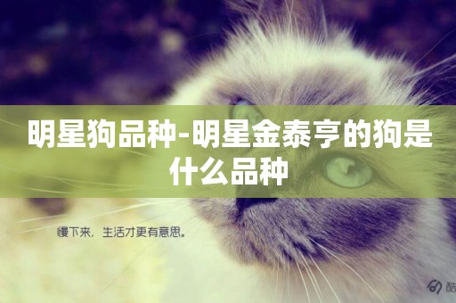 明星狗品種-明星金泰亨的狗是什么品種