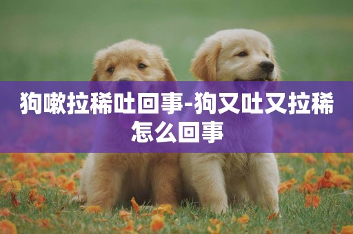 狗嗽拉稀吐回事-狗又吐又拉稀怎么回事