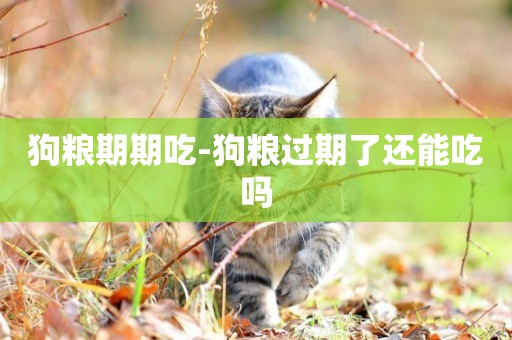 狗糧期期吃-狗糧過期了還能吃嗎