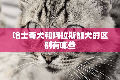 哈士奇犬和阿拉斯加犬的區別有哪些