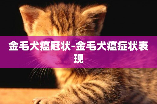 金毛犬瘟冠狀-金毛犬瘟癥狀表現