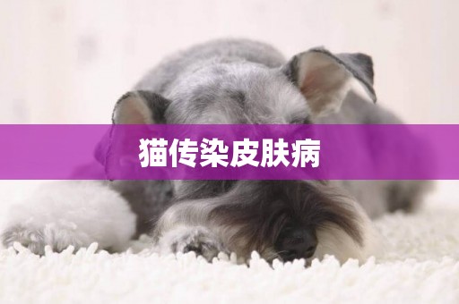 貓傳染皮膚病