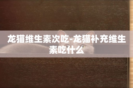 龍貓維生素次吃-龍貓補充維生素吃什么