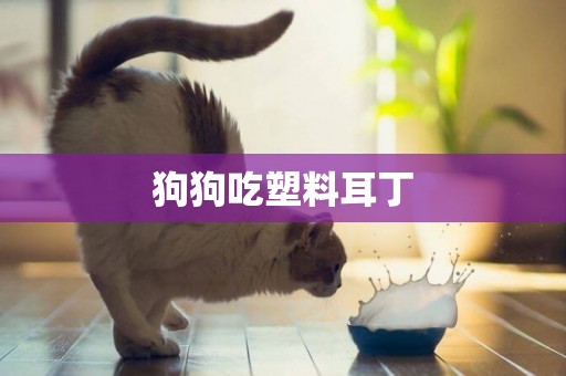 狗狗吃塑料耳丁