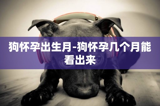 狗懷孕出生月-狗懷孕幾個月能看出來