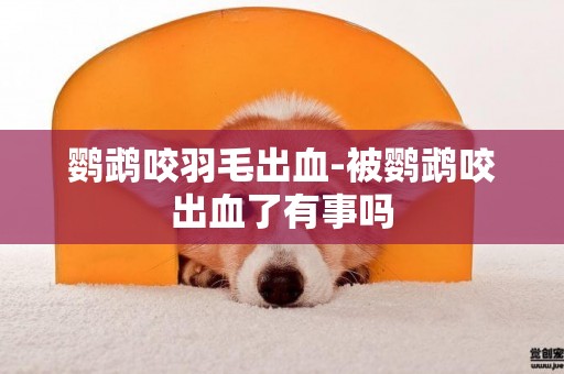 鸚鵡咬羽毛出血-被鸚鵡咬出血了有事嗎