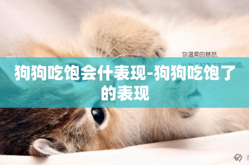 狗狗吃飽會什表現-狗狗吃飽了的表現