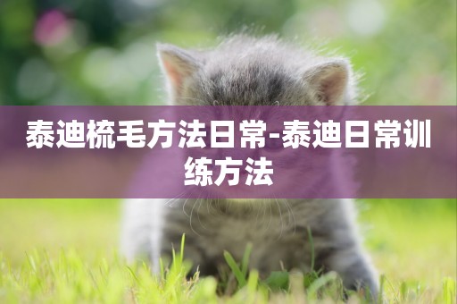 泰迪梳毛方法日常-泰迪日常訓練方法