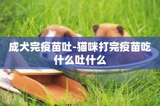 成犬完疫苗吐-貓咪打完疫苗吃什么吐什么