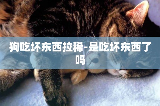 狗吃壞東西拉稀-是吃壞東西了嗎