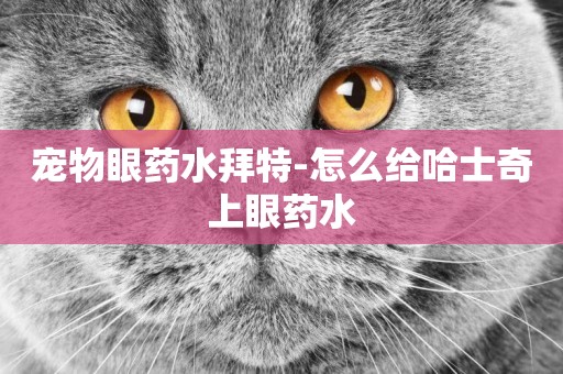 寵物眼藥水拜特-怎么給哈士奇上眼藥水