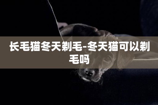 長毛貓冬天剃毛-冬天貓可以剃毛嗎