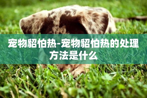 寵物貂怕熱-寵物貂怕熱的處理方法是什么