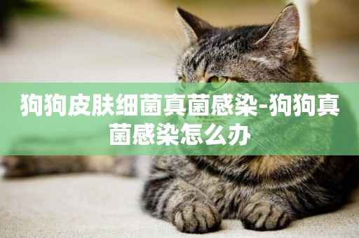 狗狗皮膚細菌真菌感染-狗狗真菌感染怎么辦