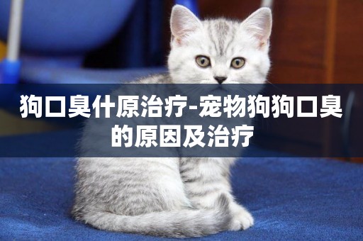 狗口臭什原治療-寵物狗狗口臭的原因及治療
