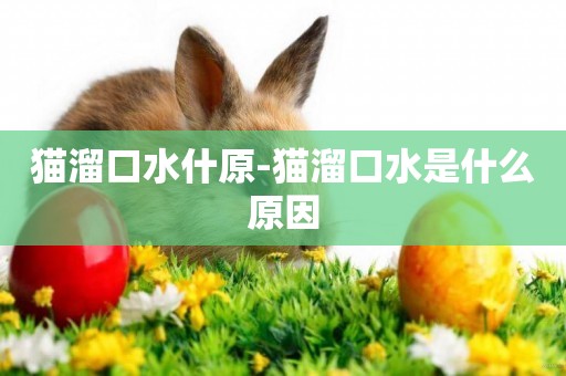 貓溜口水什原-貓溜口水是什么原因