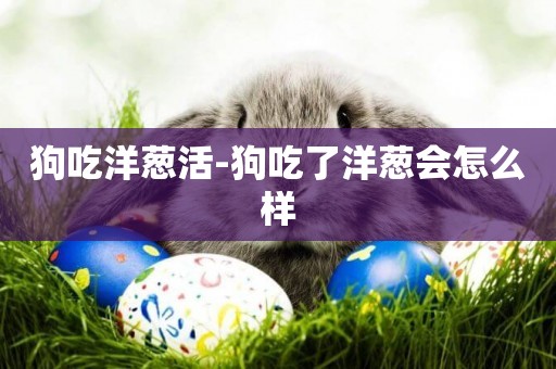狗吃洋蔥活-狗吃了洋蔥會怎么樣